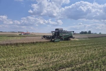 Kombajn zbożowy Fendt 6335C